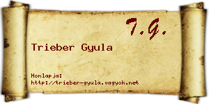 Trieber Gyula névjegykártya